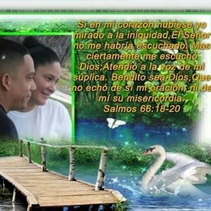 Meet your Posher, Marcos yaira