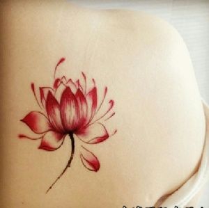 Meet your Posher, Alma