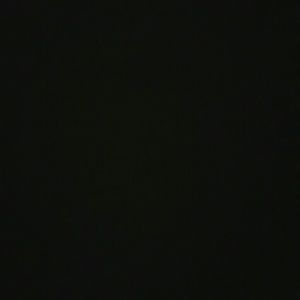 Meet your Posher, Shay