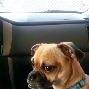 Meet your Posher, Tracie