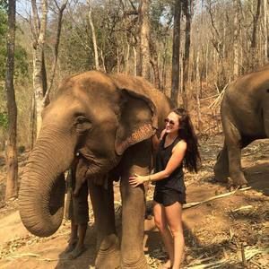 Meet your Posher, Jesse