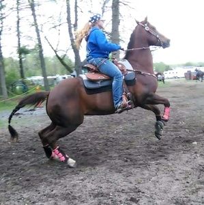 Meet your Posher, Lexi