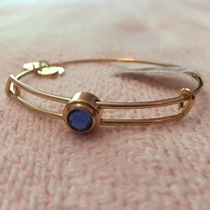Alex and Ani Bracelet