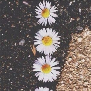 Meet your Posher, Margaret