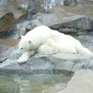 Meet your Posher, Maura