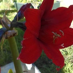 Meet your Posher, Yolanda