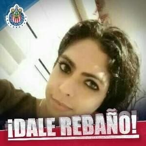 Meet your Posher, Daisy