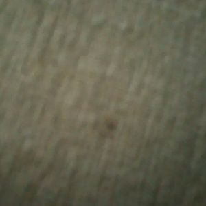 Meet your Posher, Corey