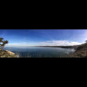 Meet your Posher, Lily