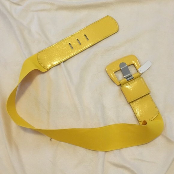 New York and Company belt