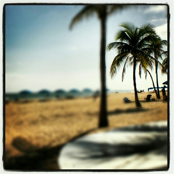 Meet your Posher, Trudy - Picture 2 of 3