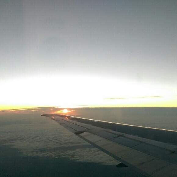 Meet your Posher, Trudy - Picture 3 of 3