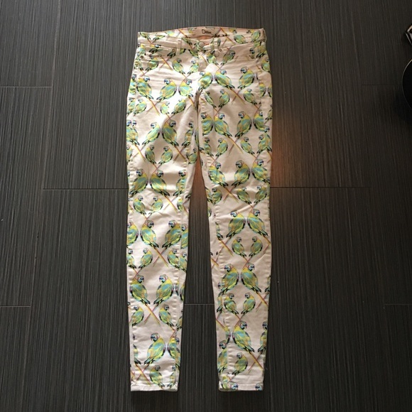 Ditto low rise parrot pants