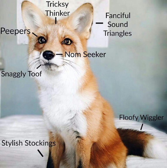 Meet your Posher, Ashley - Picture 1 of 1