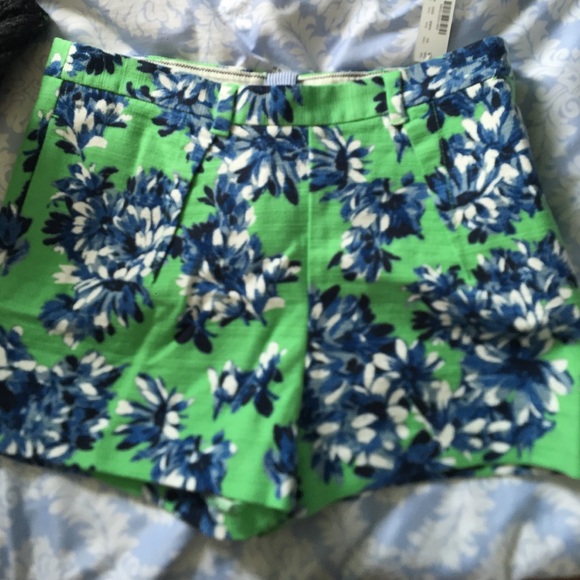 Jcrew shorts