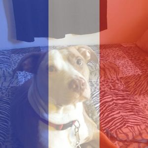 Meet your Posher, Athlene