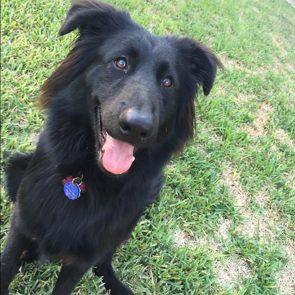 Meet your Posher, Taylor