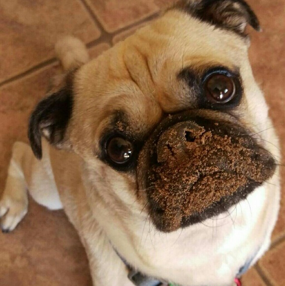 Meet your Posher, Maribel