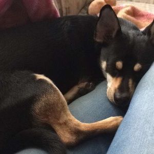 STORE CLOSING ON FRIDAY