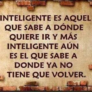 Meet your Posher, Oscar