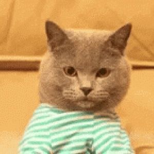 Meet your Posher, Manuel