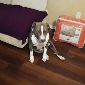 Meet your Posher, Letha