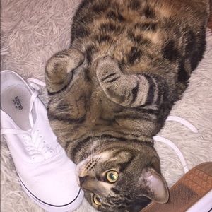 Meet your Posher, Ashleigh