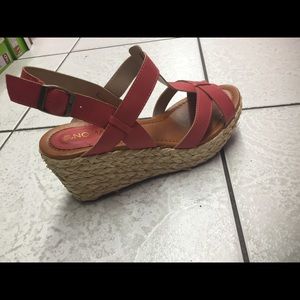 Coral wedges