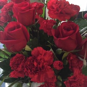 Meet your Posher, Lucy