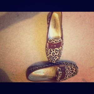 Leopard sperrys