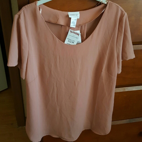 Pink Flowy Short Sleeve Top w/ Open Back - Picture 1 of 4