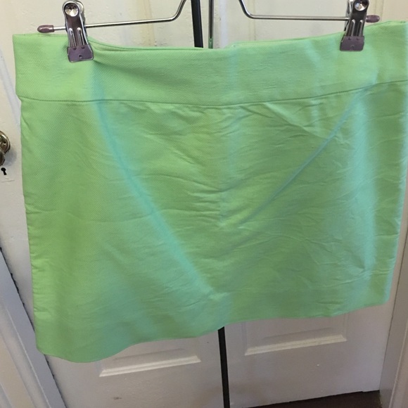 J CREW Skirt
