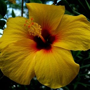 Meet your Posher, Tonya