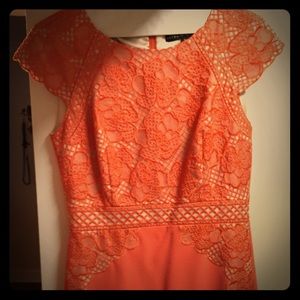 Antonio Melani lace embroidered business dress