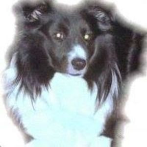 Meet your Posher, Cynthia