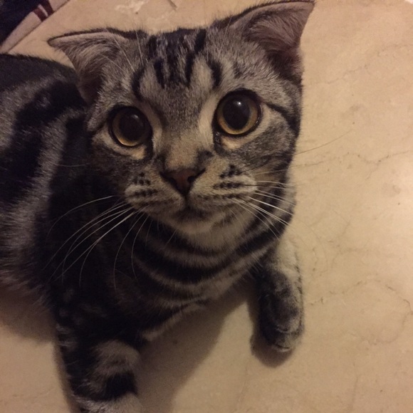 Welcome to my closet! - Picture 4 of 4