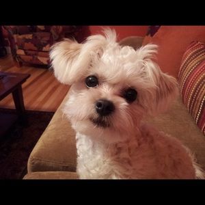 Meet your Posher, Lynn