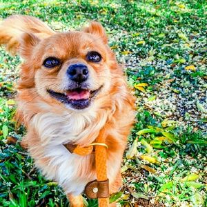 Meet your Posher, Christin