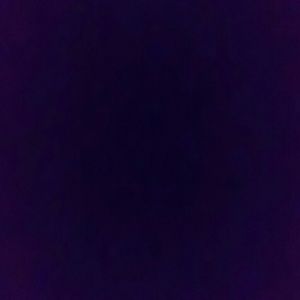 Meet your Posher, Lacy