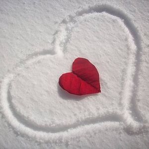 Meet your Posher, Mandy