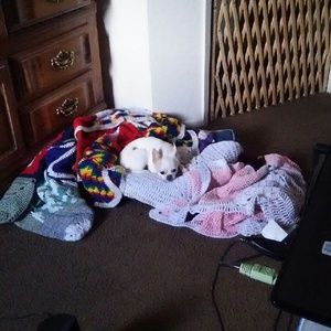 Meet your Posher, Cherylyn