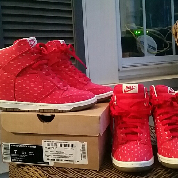 Nike sky hi dunk