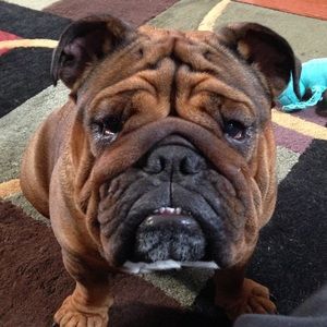 Meet your Posher, Sharon