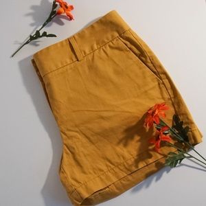 LOFT- Marigold Chino Shorts