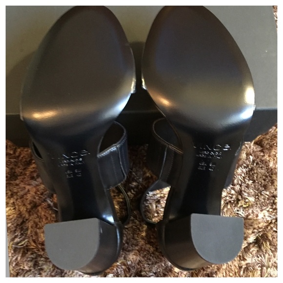 Vince - Picture 3 of 4