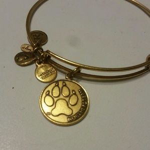 Alex & Ani bracelet