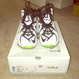 Men's Lebrons XII