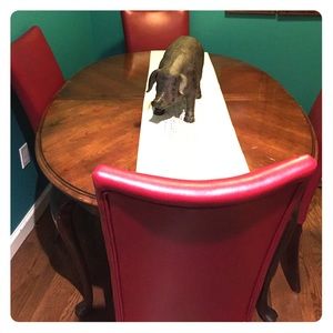 Dinning room chairs - the table is free if you buy