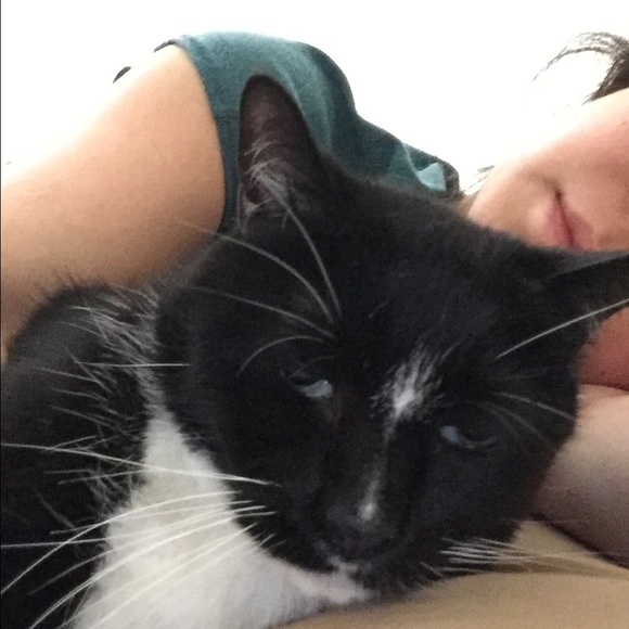 Meet your Posher, Mimi - Picture 4 of 4