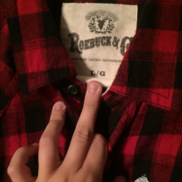 FLANNEL - Picture 2 of 4